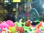 DSC00065